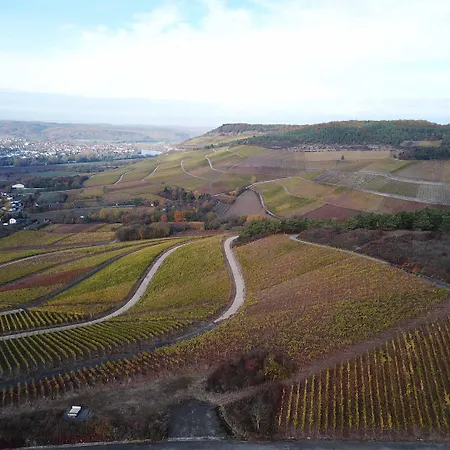 Guest house Weingut Schwab 3*