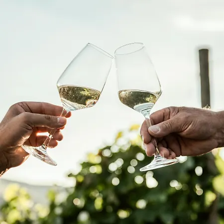 Gasthof Weingut Schwab