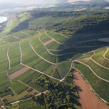 Weingut Schwab Gasthof
