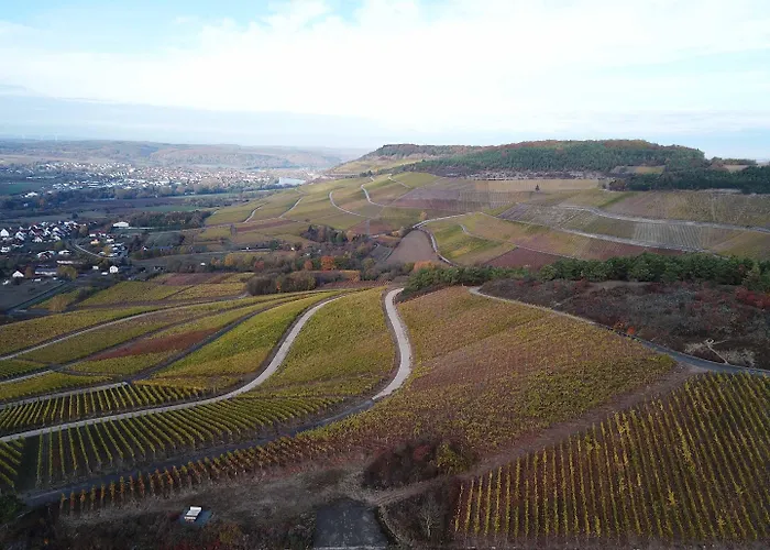 Konukevi Weingut Schwab 3*