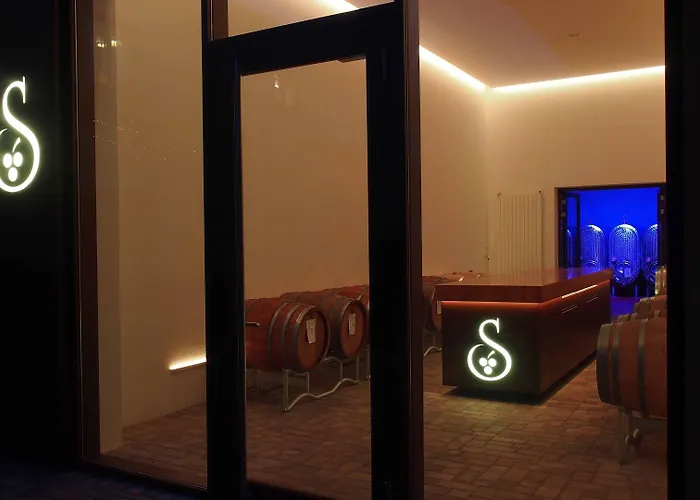Konukevi Weingut Schwab 3*